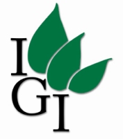 igi marketing